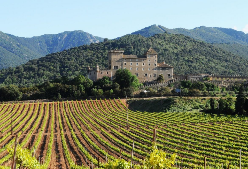 Catalunya és terra de vins