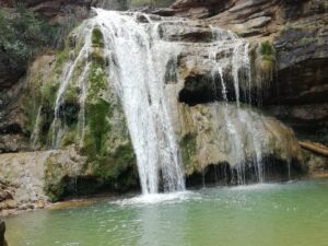 La Ruta dels 7 Gorgs: una experiència natural unica al Ripollès